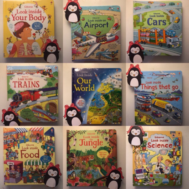 Usborne Look Inside Series