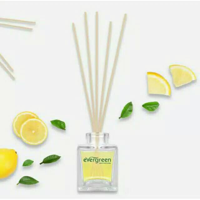 Evergreen Air Freshener Reed Diffuser Aroma therapy Aromatherapy pewangi ruangan-5