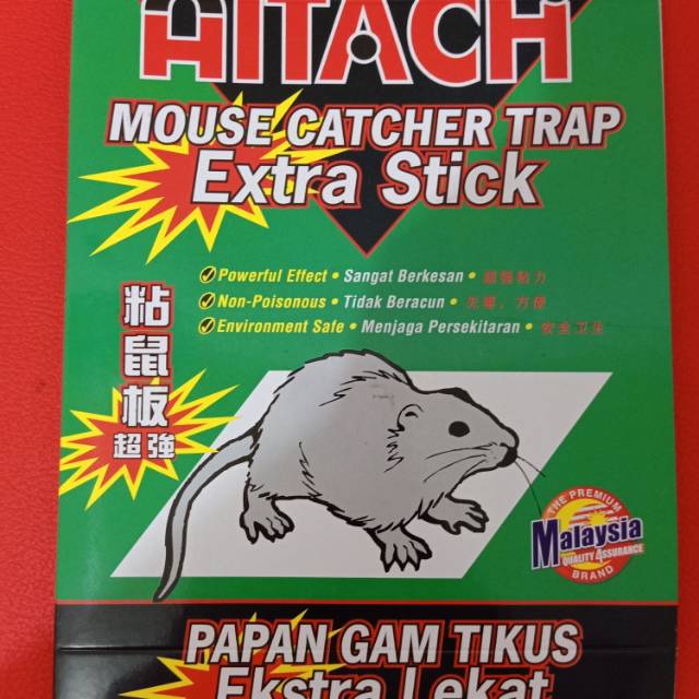 

Papan gam tikus aitachi