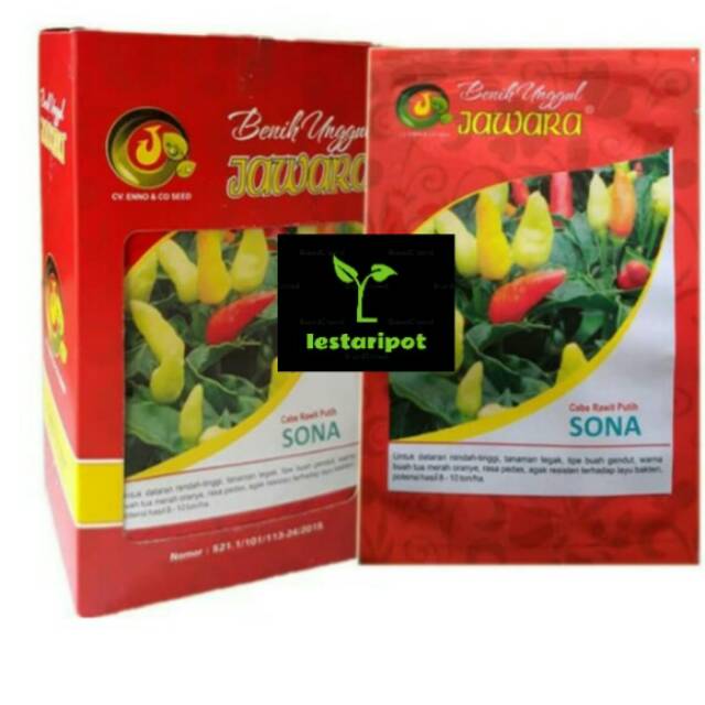 Benih/bibit cabe rawit Sona Jawara