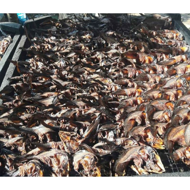 

Ikan Sale/Ikan Lele Asap Khas Medan-Padangsidimpuan-Mandailing 500 gram