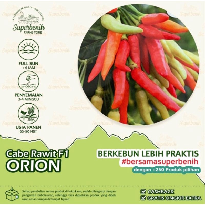 15 Benih Bibit Biji Cabe rawit  Buah bergerombol unggul