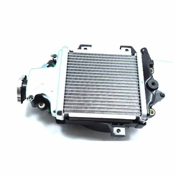 Radiator Komplit Vario 125 CBS ISS Vario 125 Led 2012-2022