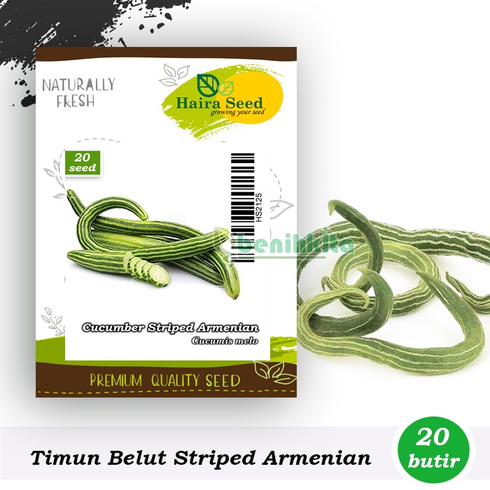 Benih-Bibit Timun Belut Striped Armenian (Haira Seed)