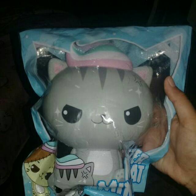 Cutie Creative X Luna Tabby Minty Luna