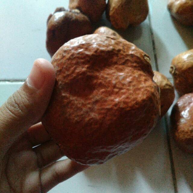 

Zuriat Mesir Murah 250gr