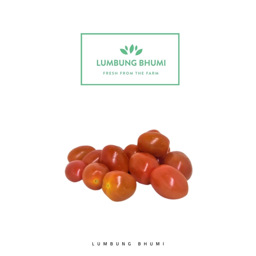 

Lumbung Bhumi - Tomat Cherry Merah 500 Gr ( Sayur Curah )