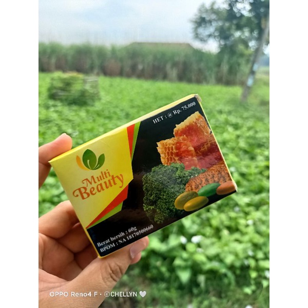 Multy Beauty Soap MBS
