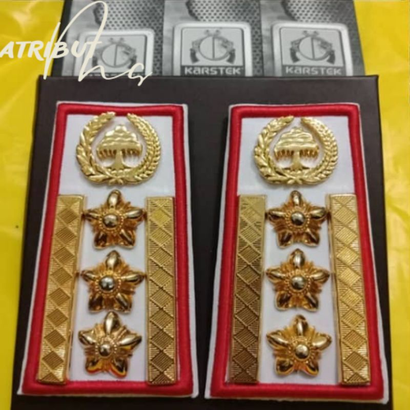 pangkat ASN PNS Sulawesi golongan 4C PDH Lis bordir