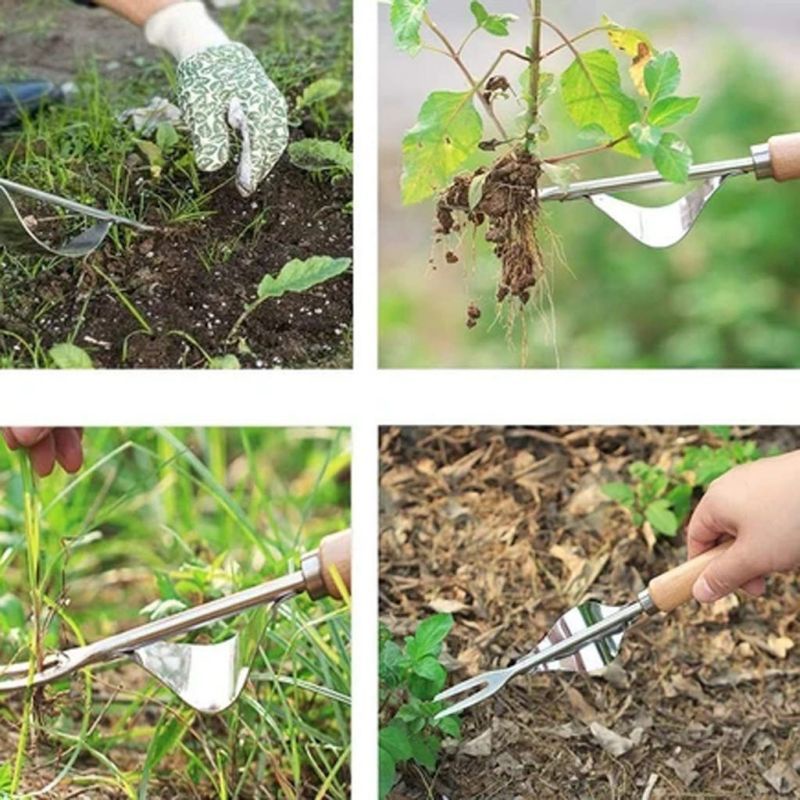 31cm Alat Pencabut Rumput Liar Stainless Manual Pencabut Rumput Akar Tanaman Liar Manual Untuk Berkebun