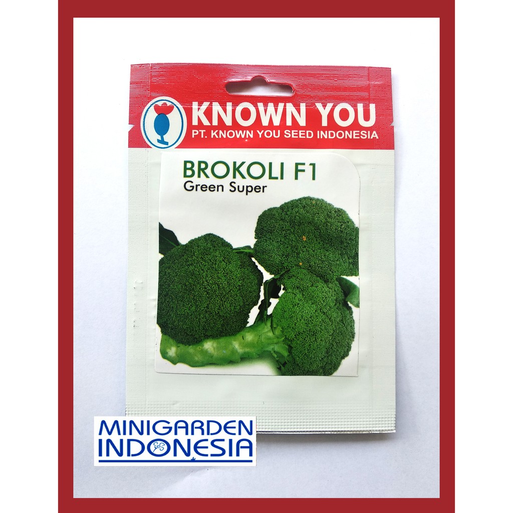 BROKOLI GREEN SUPER 180 BIJI PACK KECIL benih Brokoli hijau KNOWN YOU SEED Bibit Tanaman Sayuran Hidroponik