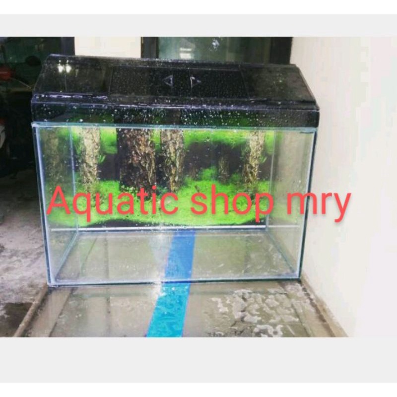 aquarium 50x25x30 background + tutup