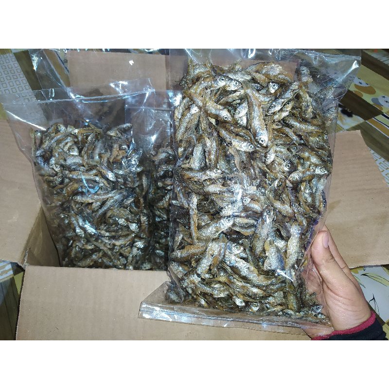 

Ikan Bilih Goreng Asli dari Danau Singkarak kemasan 500 gr