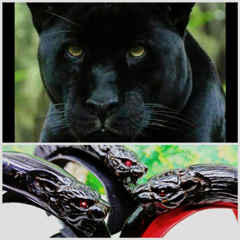 akar bahar ukir macan