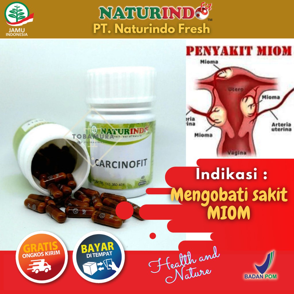 OBAT HERBAL MIOM OBAT MIOM AMPUH ORIGINAL OBAT MION DAN KISTA OBAT MIOM AMPUH NATURINDO  BPOM MADIUN