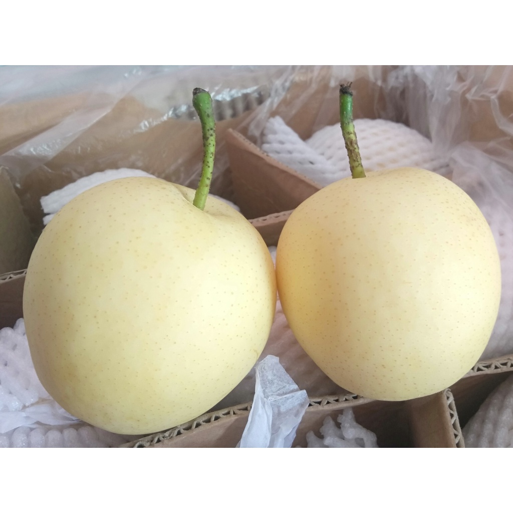 Jual Buah Pear Century Shopee Indonesia 