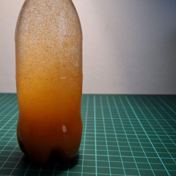 ➷ ARTEMIA SIENNA BY FISHOWNER 50G BIG RED - ARTEMIA TETAS ♘