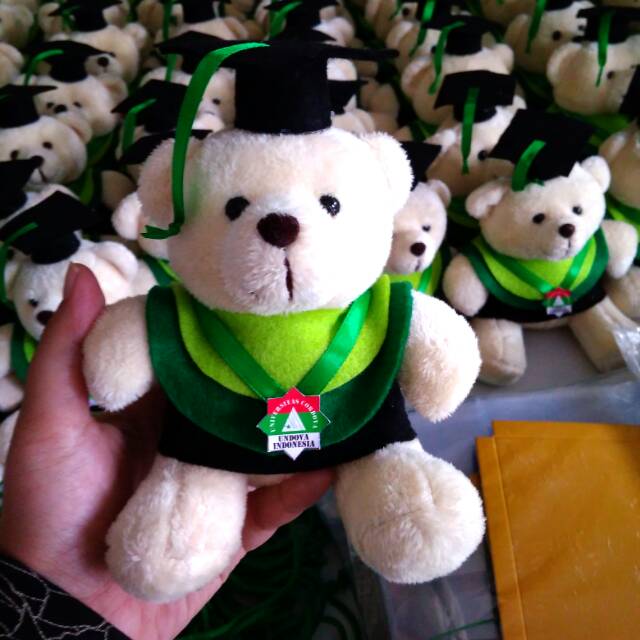 BONEKA WISUDA TEDDY BEAR 12CM