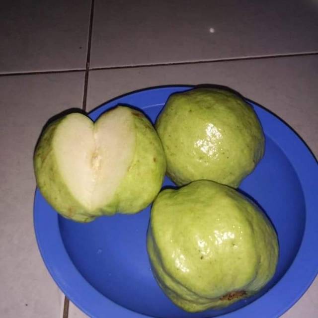 

Jambu kristal