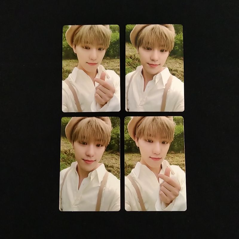 an ode beret hope dino