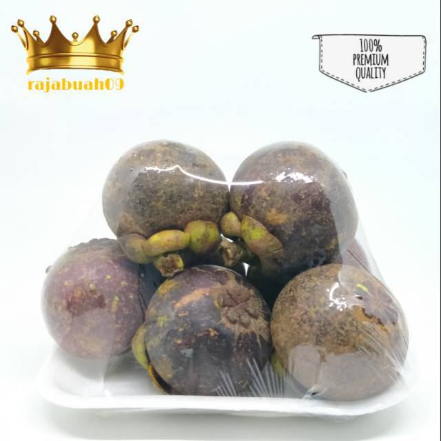 

Buah Manggis Fresh 1 paks