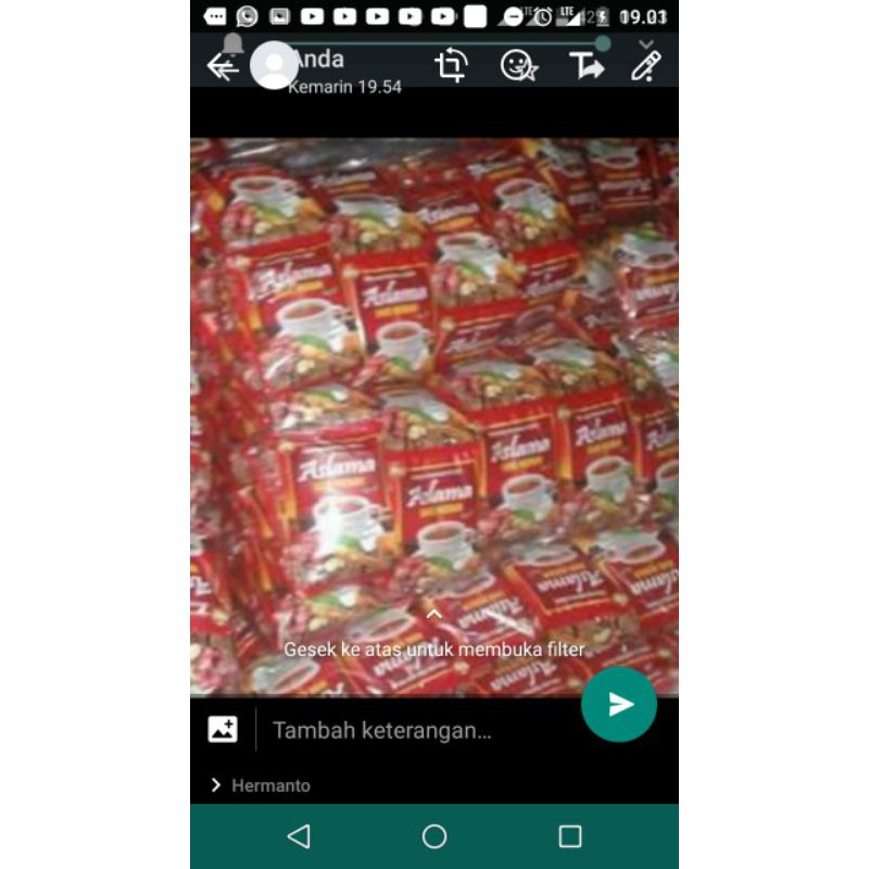 

aslama jahe merah