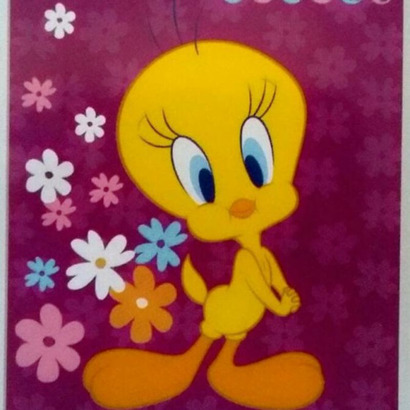 Selimut Internal 160x200 - Tweety