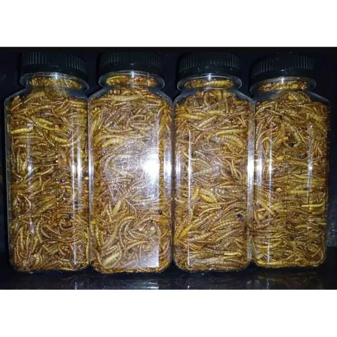 

Diskon ulat hongkong kering 1kg 1000gram 10 ons 500gram 100gram 5 ons 1 ons Diskon