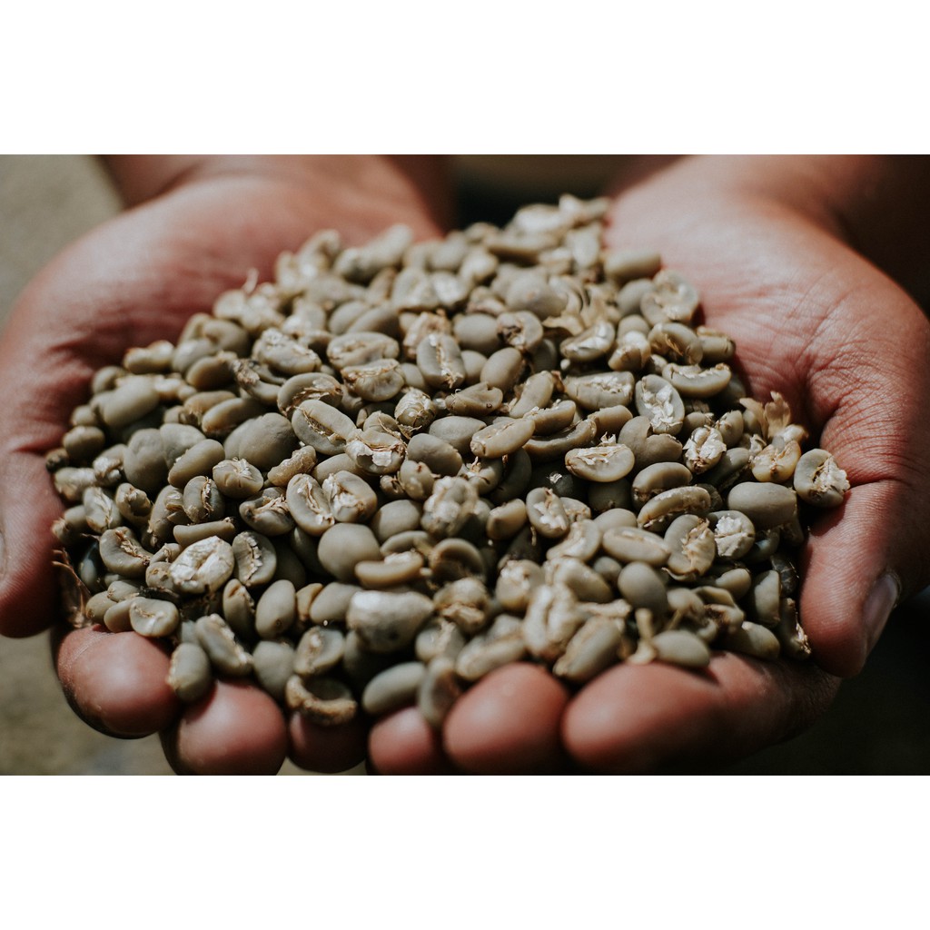 

GREEN BEANS GAYO SEMI WASH 1 Kg