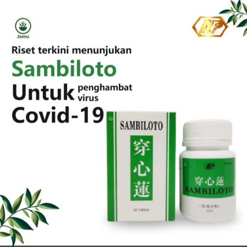 

nan fung - sambiloto obat peradangan sakit tenggorokan