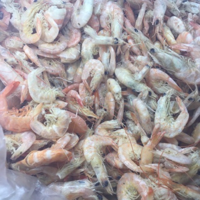 

Udang Manis Besar Medan Super Asli Belawan tanpa sampah Kepala