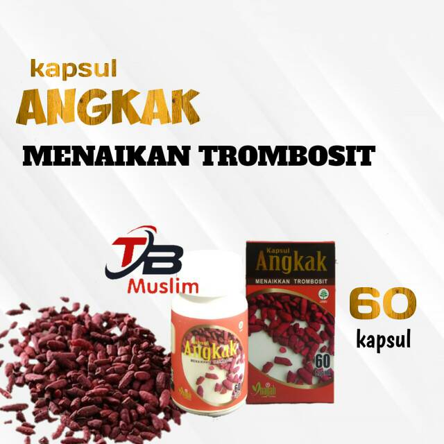 

kapsul Angkak MENAIKKAN TROMBOSIT