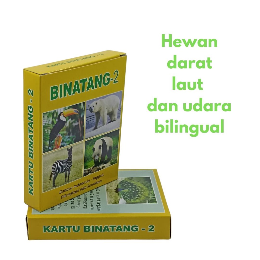 Jual Kartu binatang seri 2 Flashcard hewan seri 2 | Shopee Indonesia