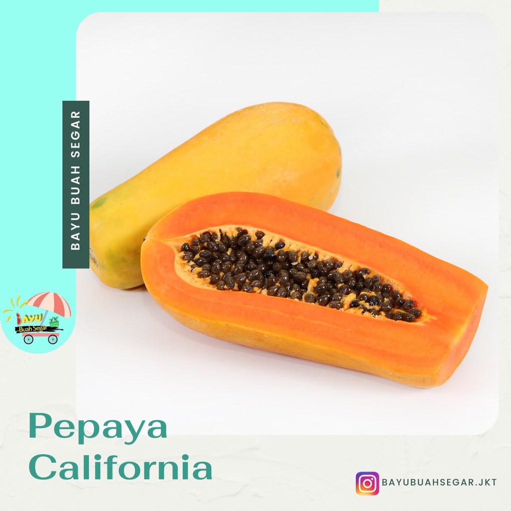 

Buah Pepaya California Segar