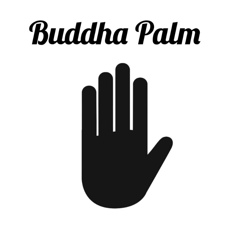 Alat Sulap Buddha Palm - Sulap Budha Palm - Sulap Koin - Toko Sulap -  Sword Magic Shop