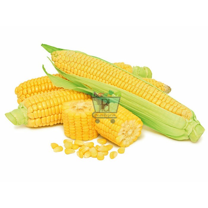 

Jagung Manis besar per Buah