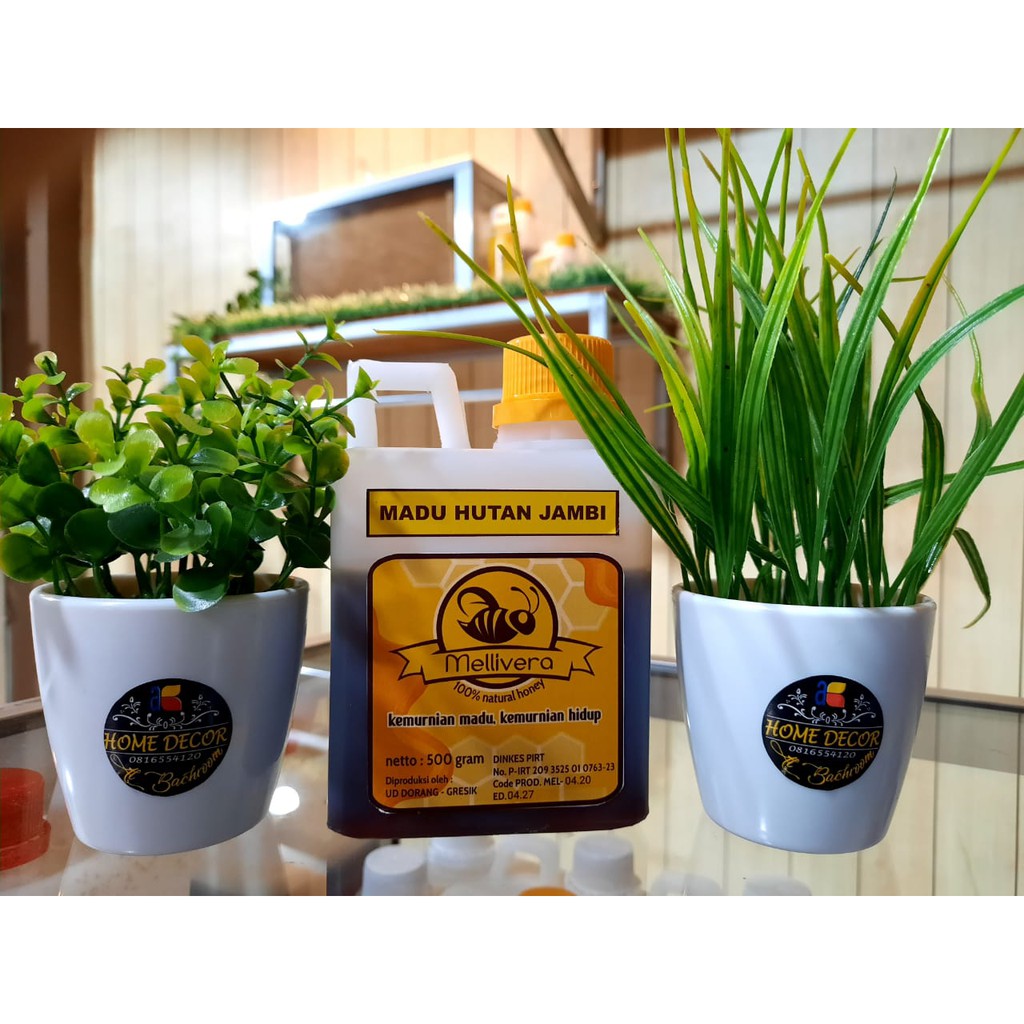 

Madu Hutan Sialang Jambi (500gr - 1kg)