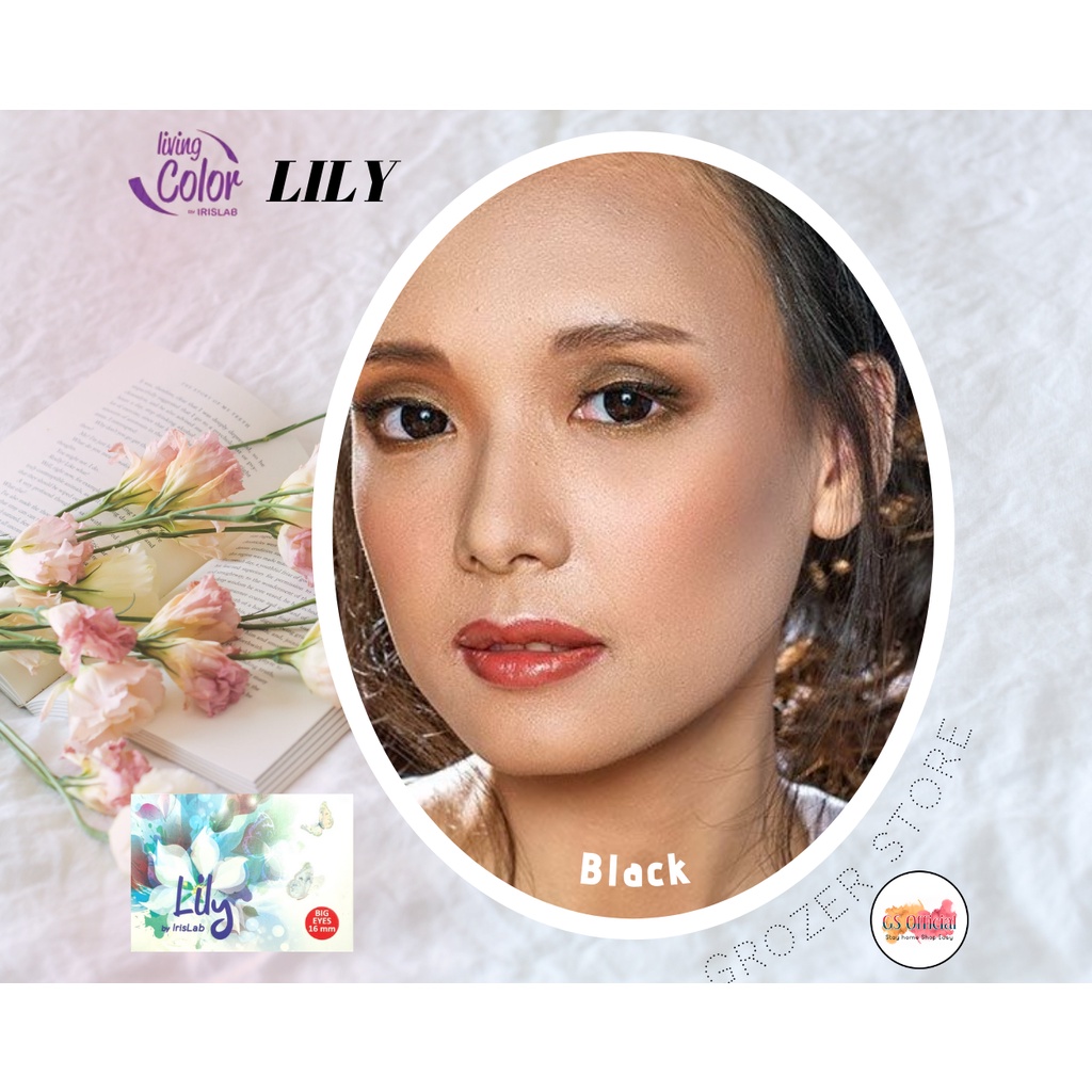 SOFTLENS LILY MINUS 0.50 sd 3.00