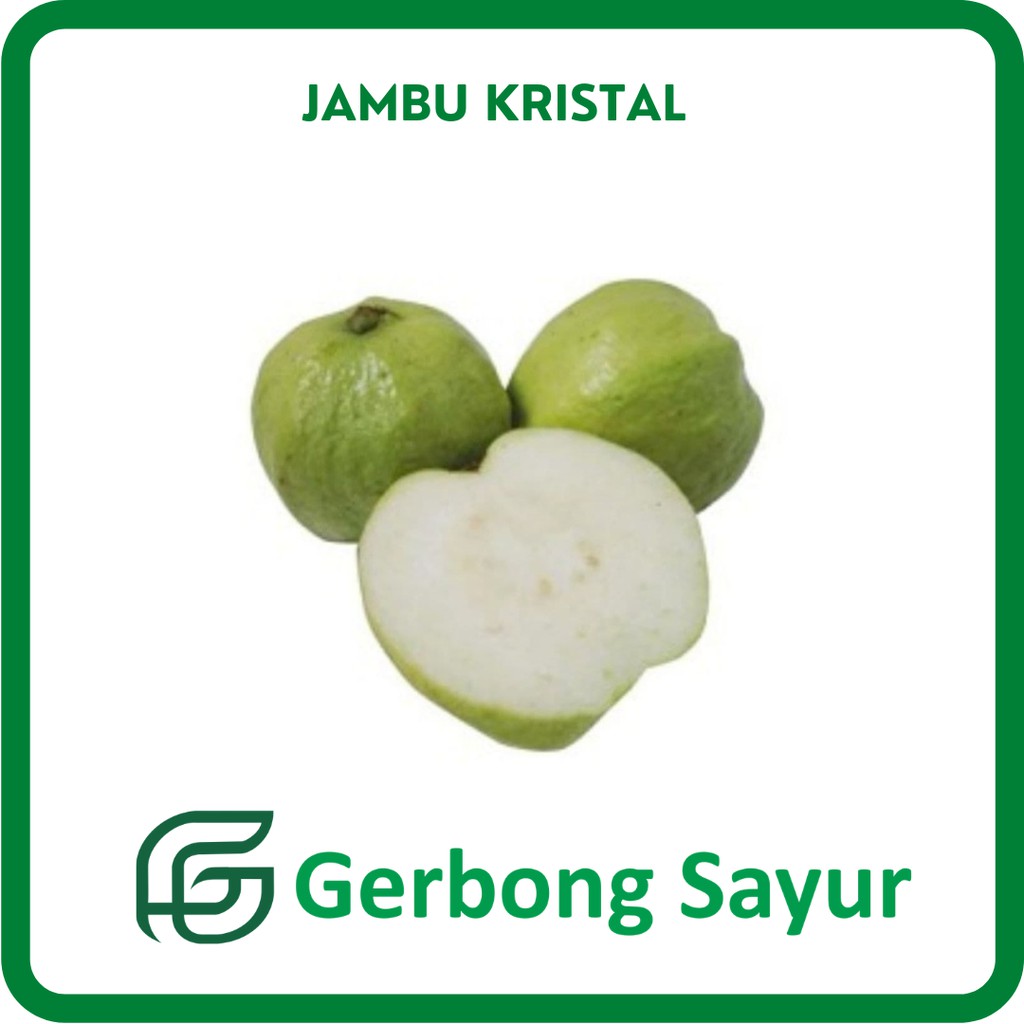 

Buah Jambu Kristal - 1 Kg