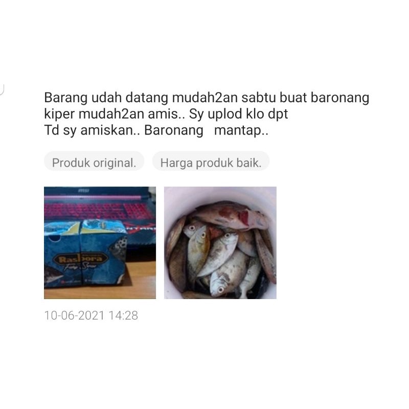 Umpan Rasbora Fishy Series mikro fishing