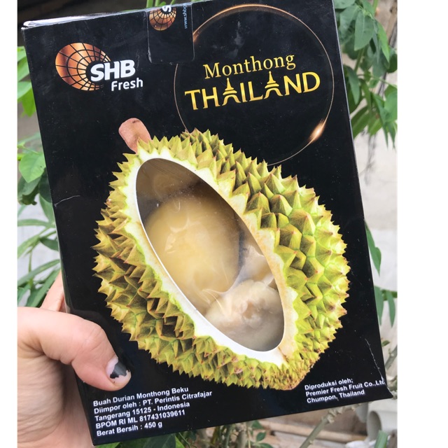 

Durian Monthong Thailand / Durian Beku