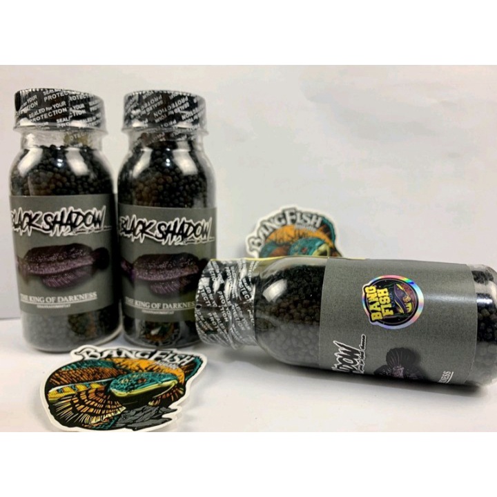 BLACK SHADOW PELET UNTUK MENINGKATKAN PIGMENT WARNA HITAM ( BAR MARU, ASIATICA ) ORIGINAL