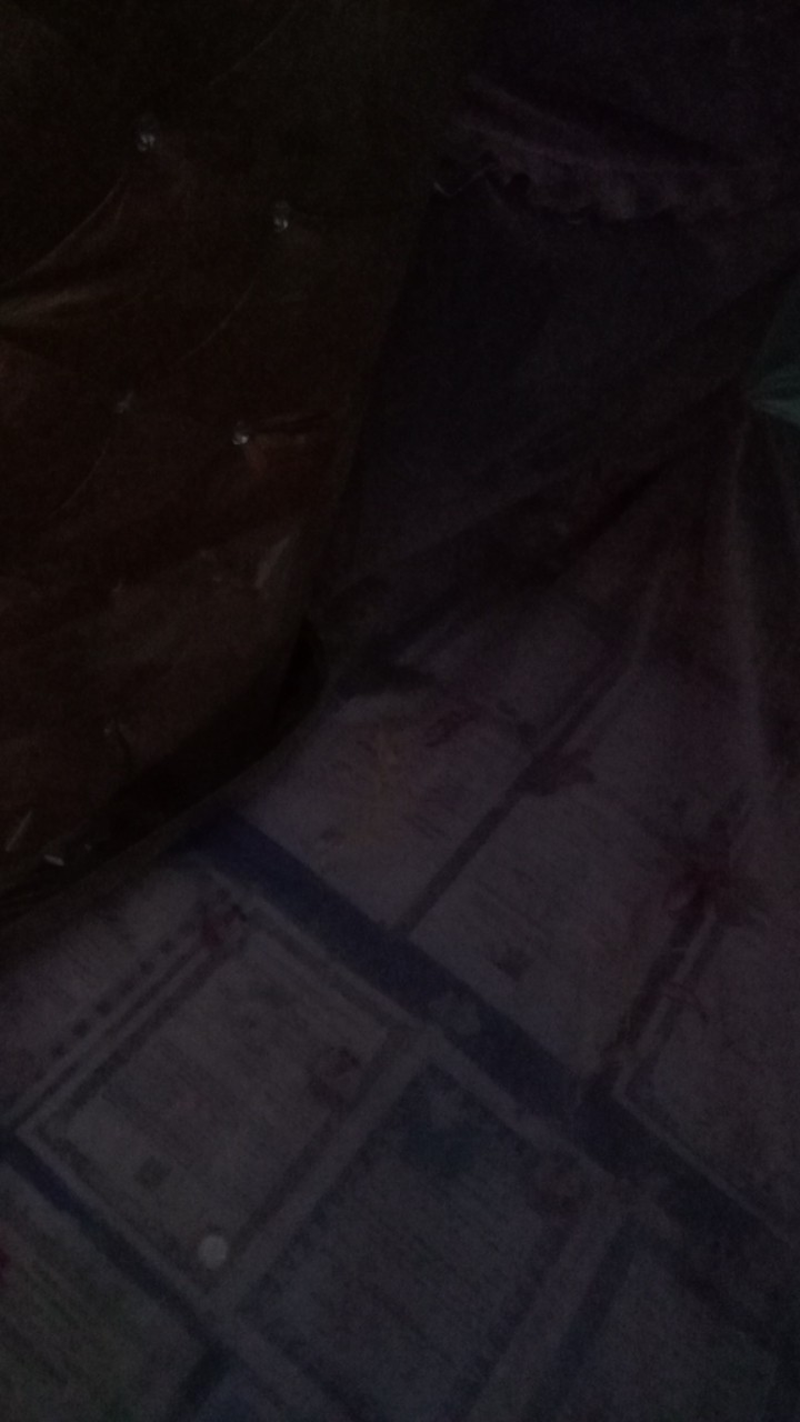 Alas Eceng Gondok | Alas Foto