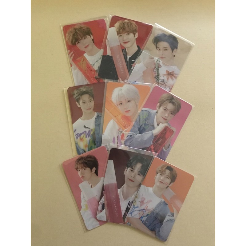 [PELUNASAN] BLACK ROUGE X CRAVITY PHOTOCARDS
