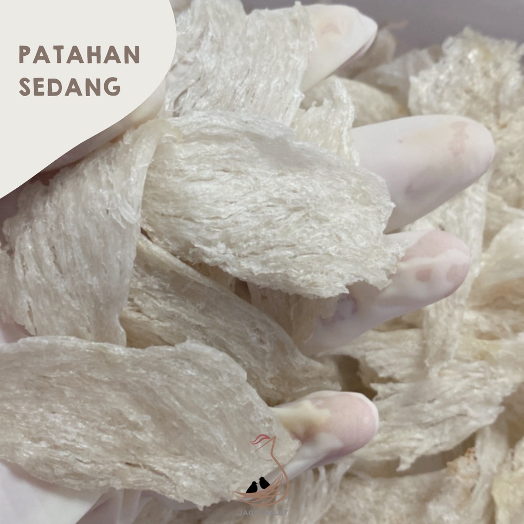 

Jago Walet - Sarang Burung Walet Patahan Sedang Bersih 100Gr 100% Asli