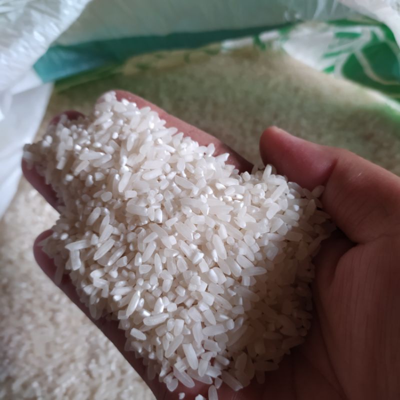 

Beras Pulen 1 Kg