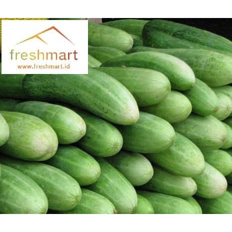 

Timun Biasa atau Mentimun - FreshMart