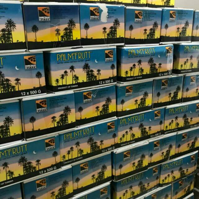 

Kurma palm fruit tunisia grosir murah