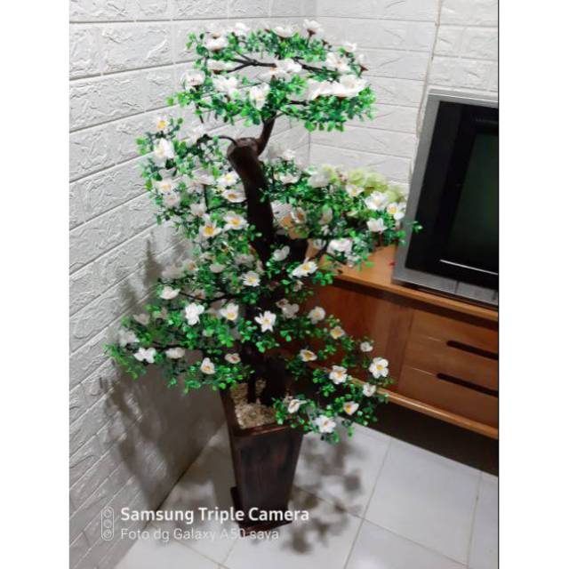 [DV] Bunga Sudut Semanggi Hias