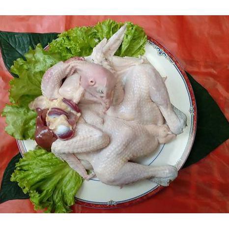

( BISA COD ) Ayam Kampung Fresh 55K NEW [Kode 1|Kode 2|Kode 3|Kode 4|Kode 5|Kode 6|Kode 7|Kode